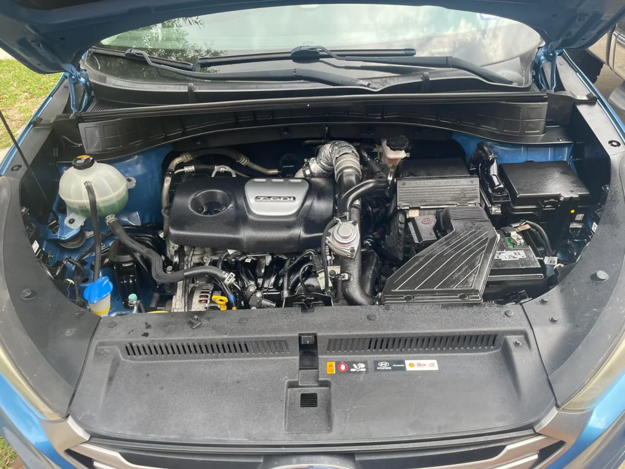 David M. engine bay
